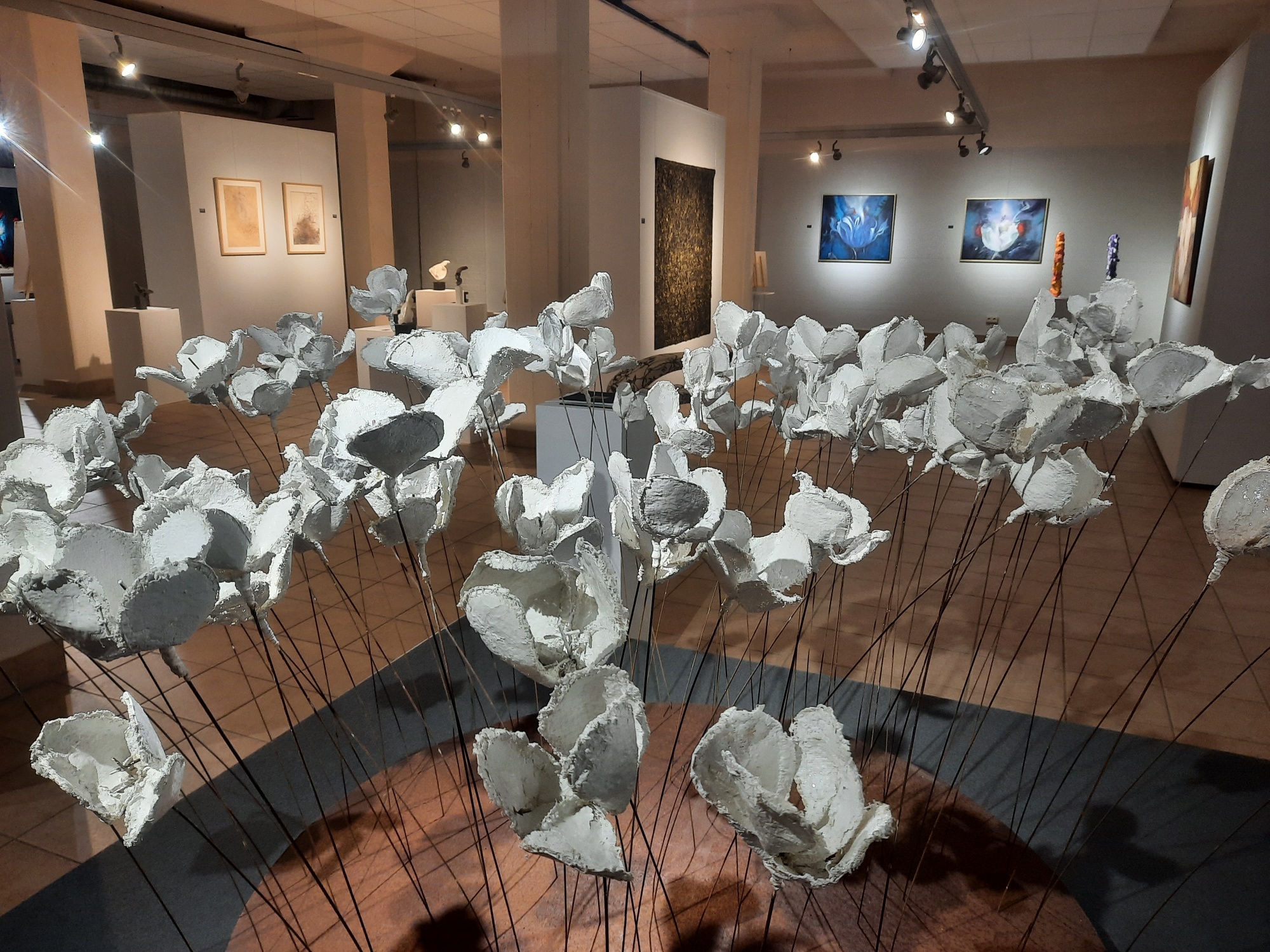 Tentoonstelling Symbiose